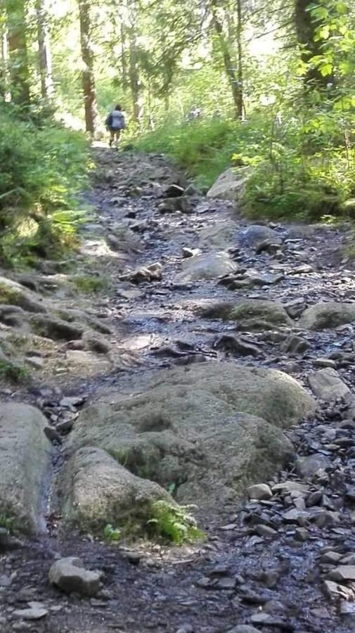 Harzlich Διαμέρισμα Altenau  Εξωτερικό φωτογραφία